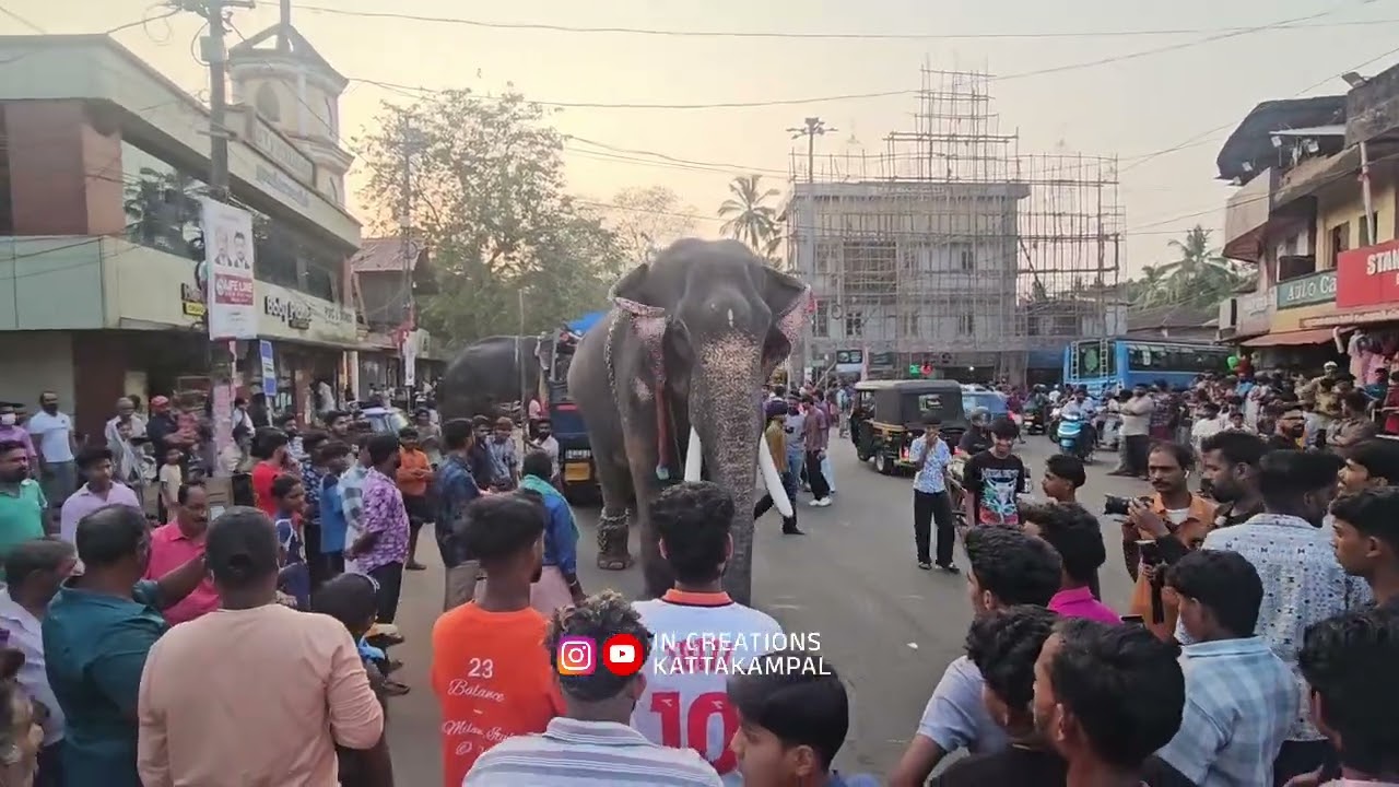 ഗജവിസ്മയം Chirakkal fest