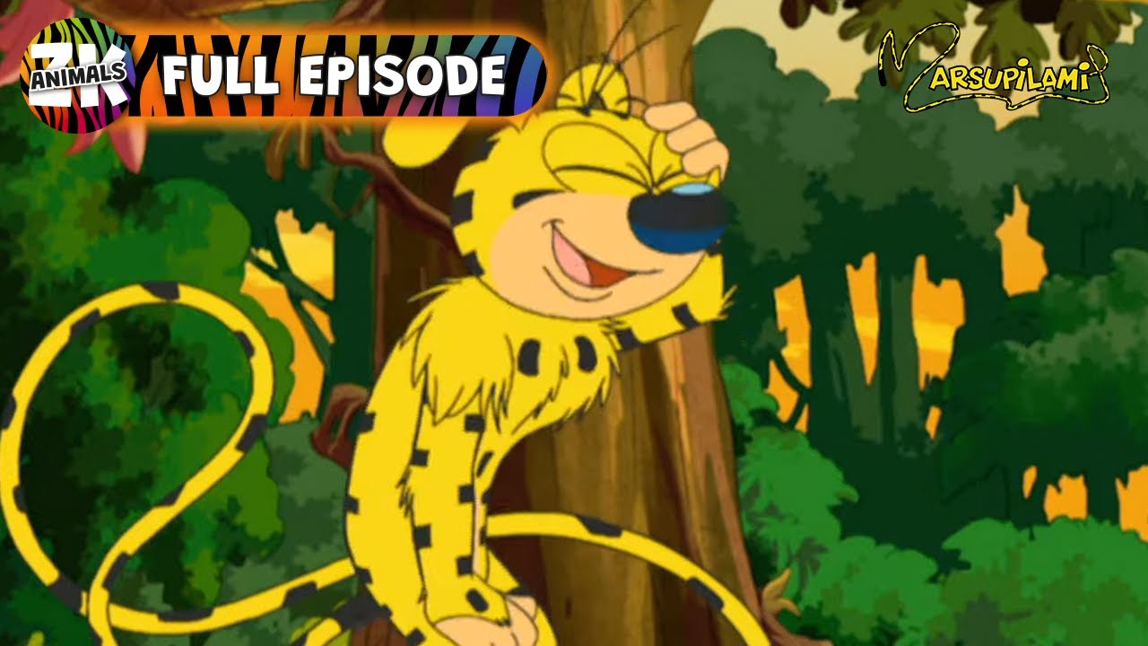 Marsupilami | Season 2, Episode 14 | The Little Jaguar