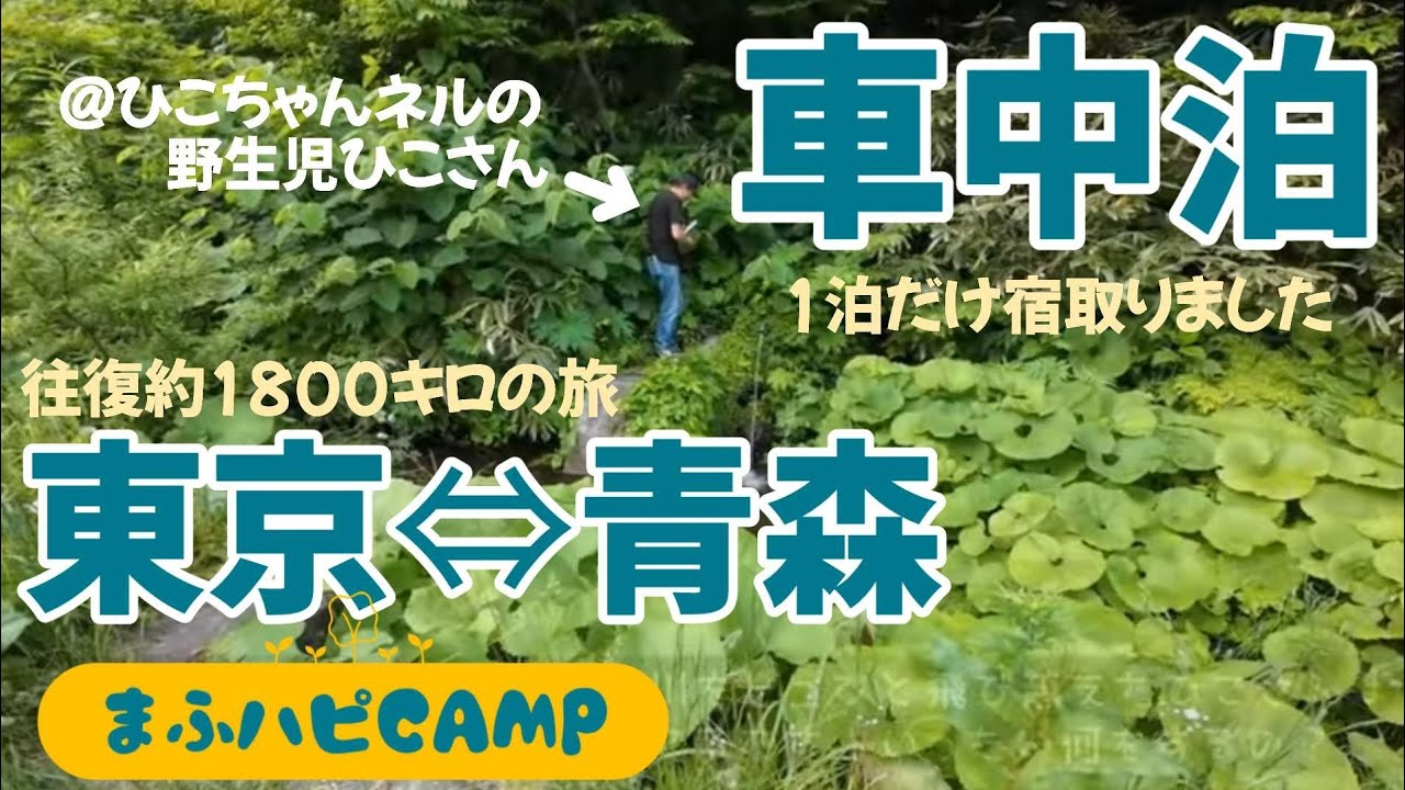 【車中泊】東京から青森まで往復1800キロの道の駅車中泊＋お得宿泊 #まふハピキャンプ #キャンピングカーが欲しい🙏