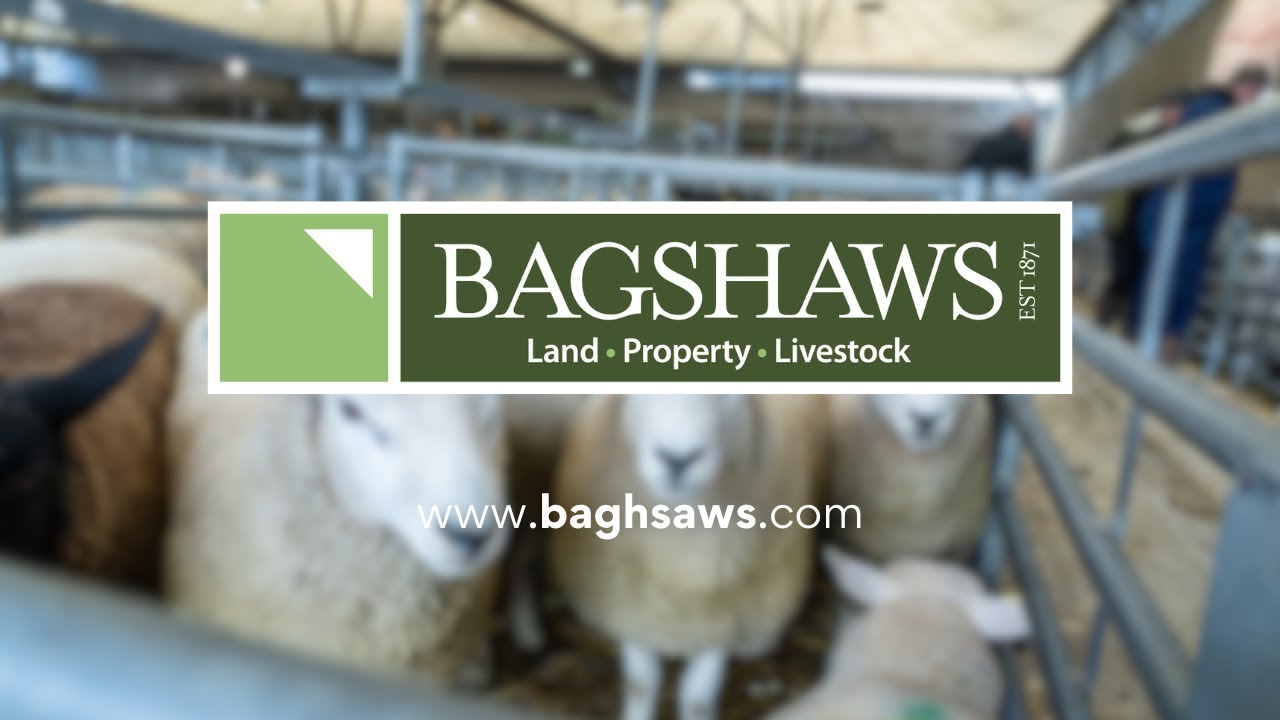 Bagshaws Livestock Sales