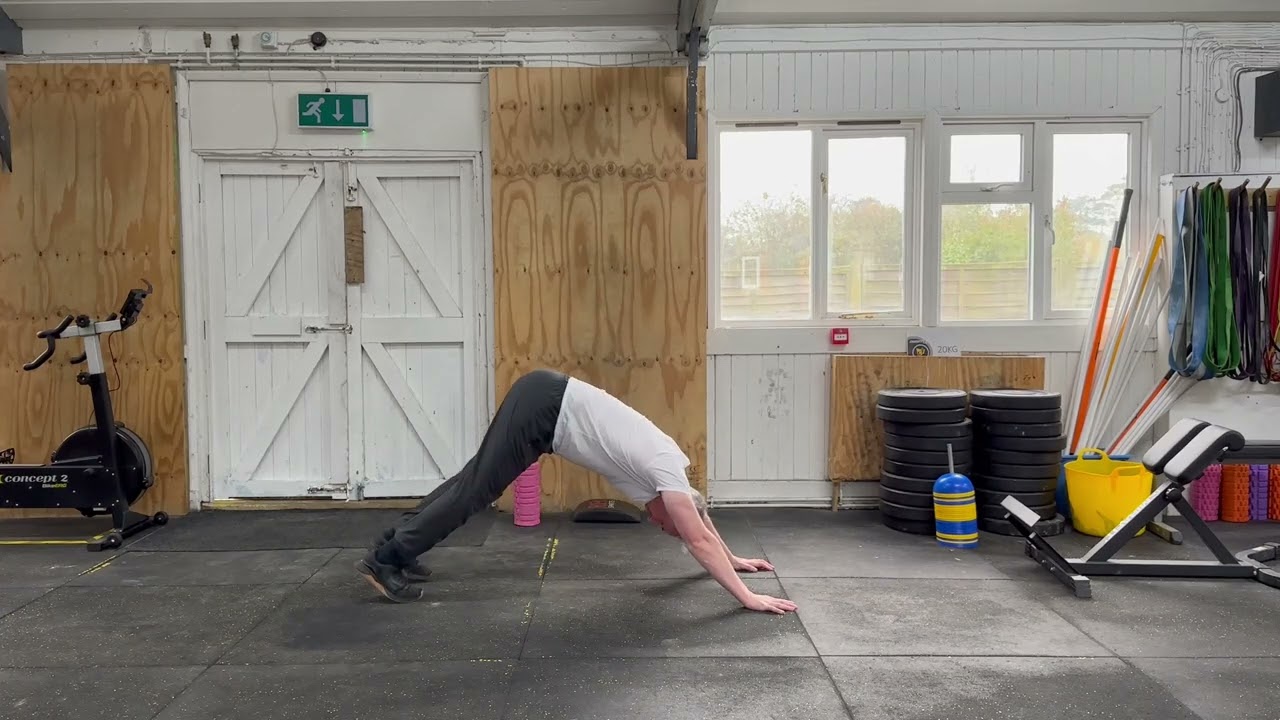 Daily Mobility