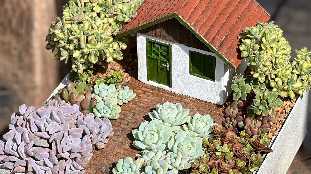 ARRANJOS E MINI MUNDOS #suculentas #cactus