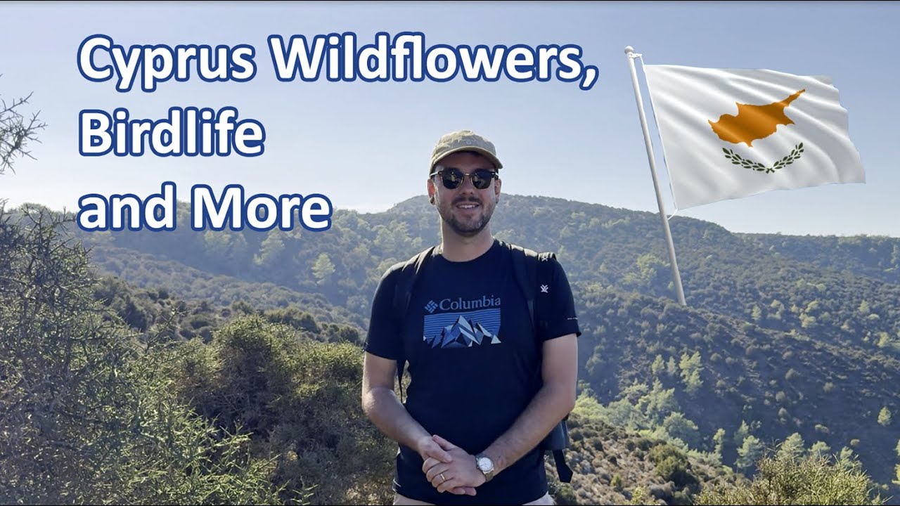 Cyprus - Wildflowers, Birdlife and More