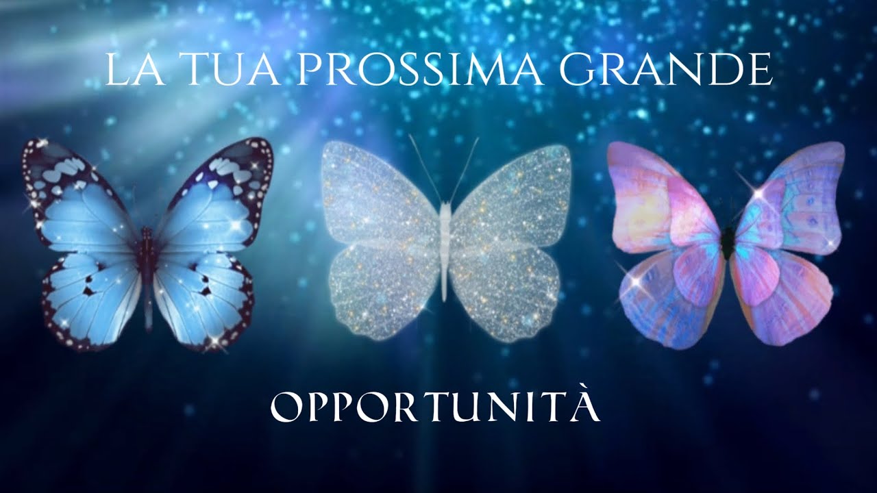Messaggio dalle tue guide sulla tua prossima grande opportunità