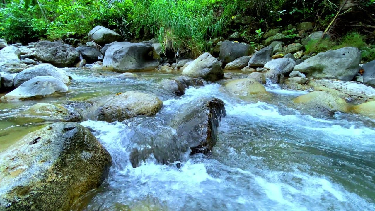 Soothing River Sounds for Meditation | Gentle Water Flow Ambience