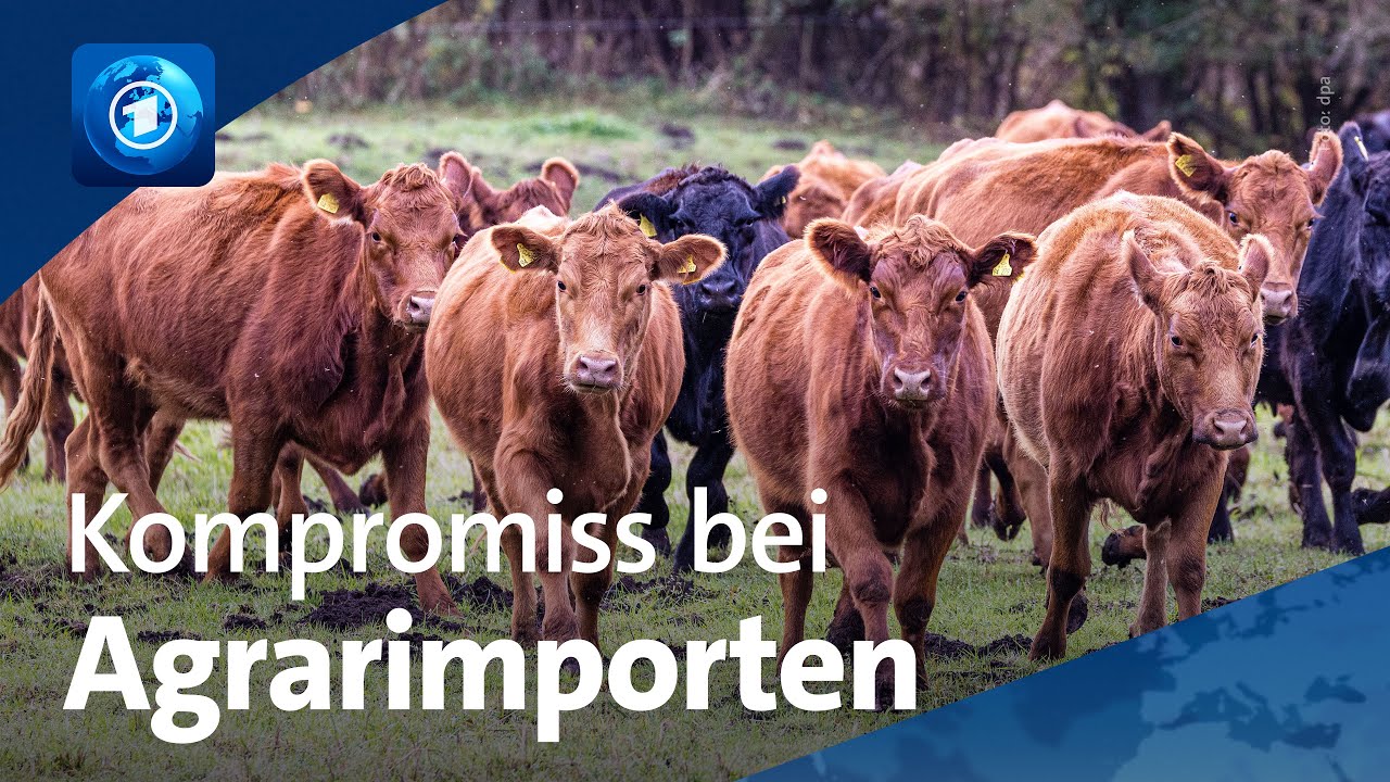 EU-Gipfel ringt um Mercosur-Abkommen
