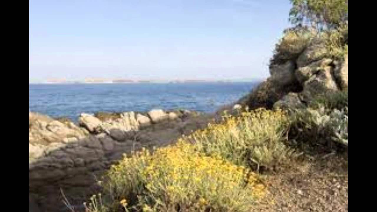 L'IMORTALA