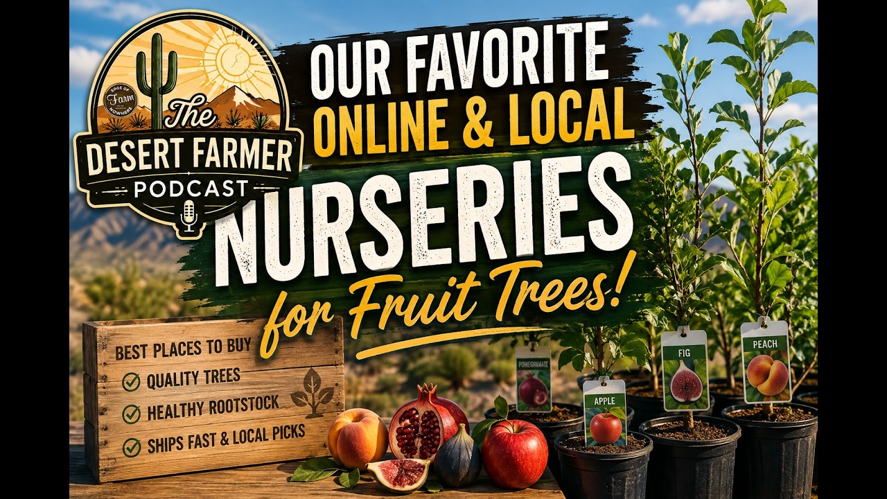 Best Desert Nurseries! 🌵🌳 + Q&A  | The Desert Farmer Podcast -  Episode 83