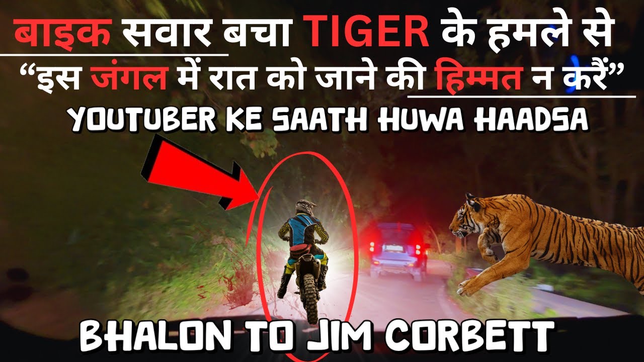 Jungle के इस हिस्से में जाना यानि मौत को दावत देना | Youtuber की बची जान | Jim Corbett