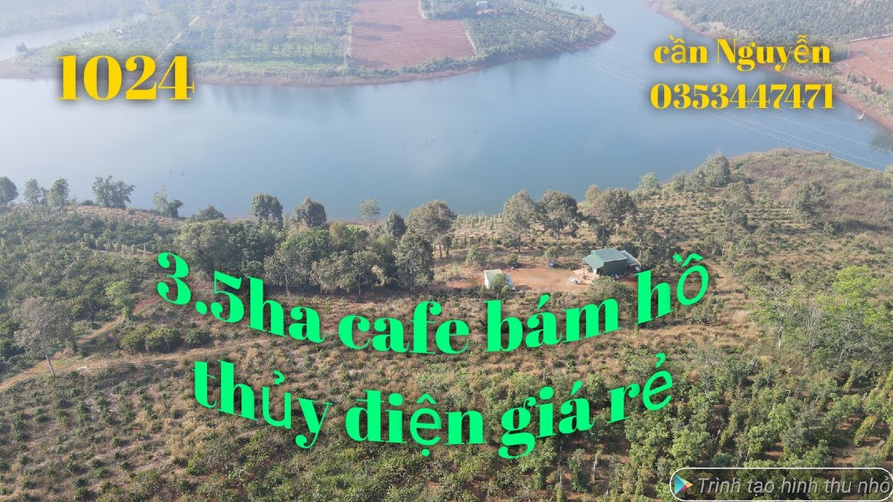 ABán 3.5 ha cafe sầu riêng bám views hồ có nhà ngay QL14a có sổ giá 6.7 tỉ lh 0353447471