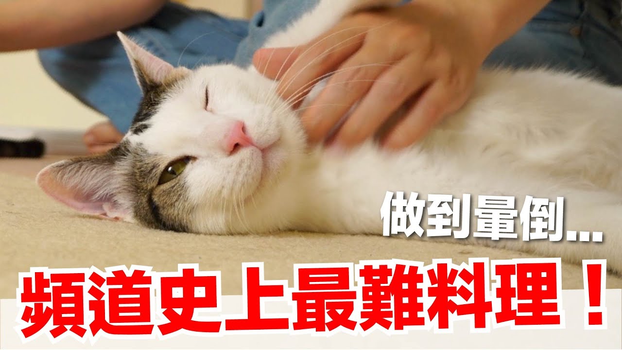 【好味小姐】頻道史上最難料理！做到暈倒...｜貓副食｜貓鮮食廚房EP207