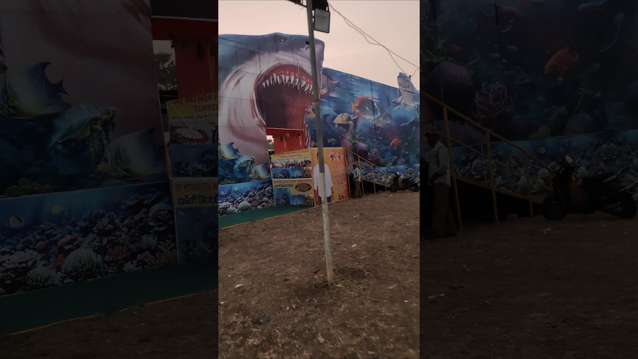 Fish Water Under Tunnel Exhibition