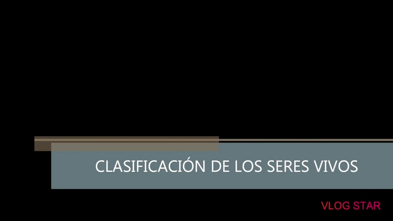 CLASIFICACI&Oacute;N DE LOS SERES VIVOS