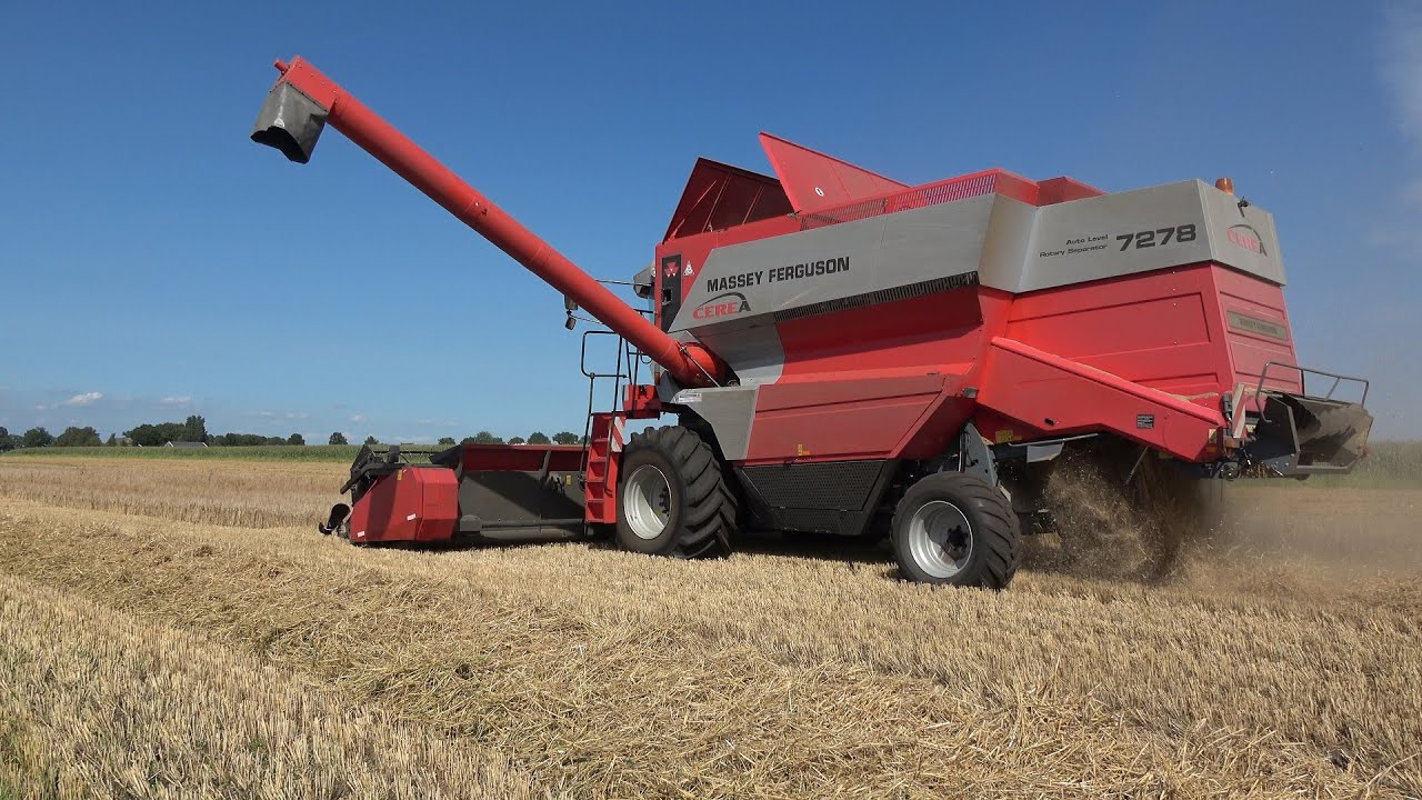 Gerst oogsten met Massey Ferguson 7278 Cerea en Fendt 720 Vario door Supèr en Veerenhuis (2023)