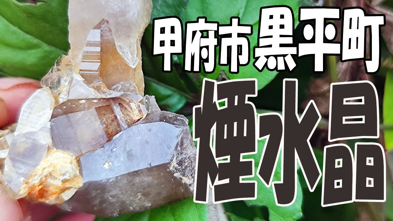 水晶がいっぱい‼【甲府市黒平町・ペグマタイト探索】大きな煙水晶も発見！