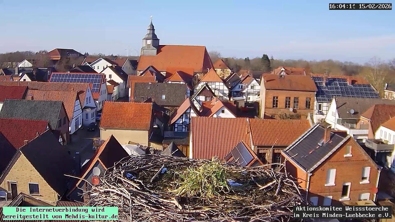 Livestream von Storchennest Petershagen