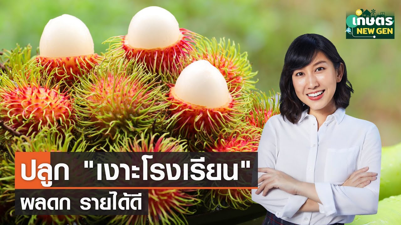ปลูก 