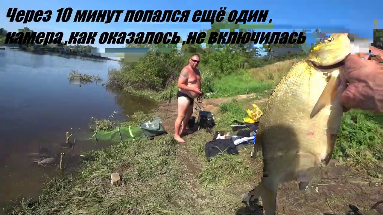 ЛЕЩ на САЛО ! РЫБАЛКА на ДОНКИ ! Рыбалка на леща 2020!