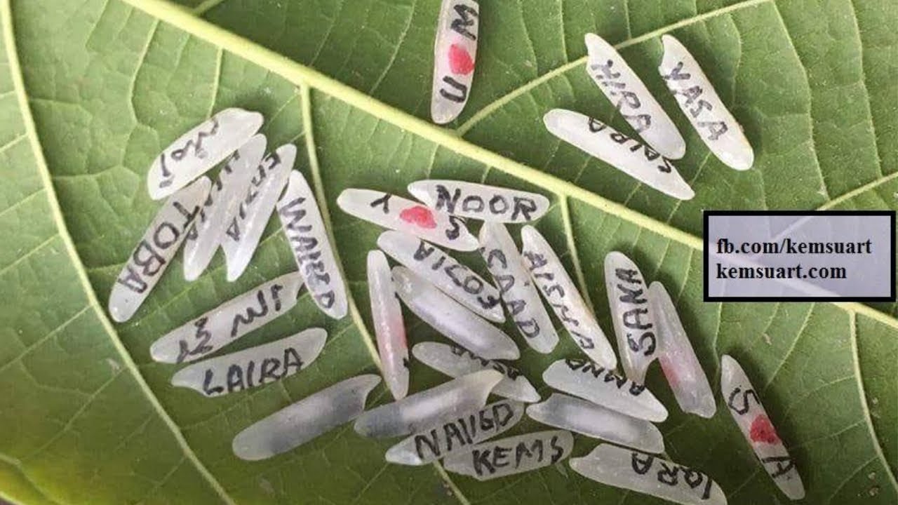 How to Write Name on Rice Grain
