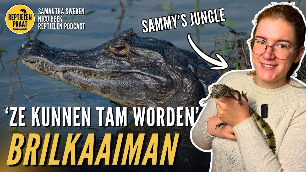 EEN KROKODIL ALS HUISDIER 🐊🤯 | Reptielen Praat met Sammy's Jungle