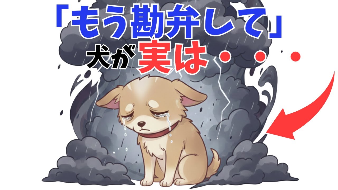 優しい飼い主ほど要注意！犬が精神的に追い詰められる意外な「行動」12選