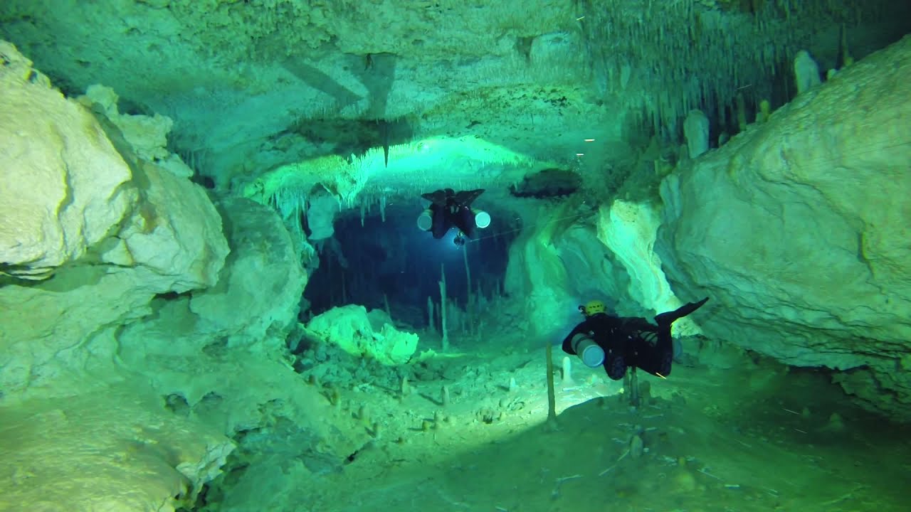 Cenote Mosquito Factory in Mexico