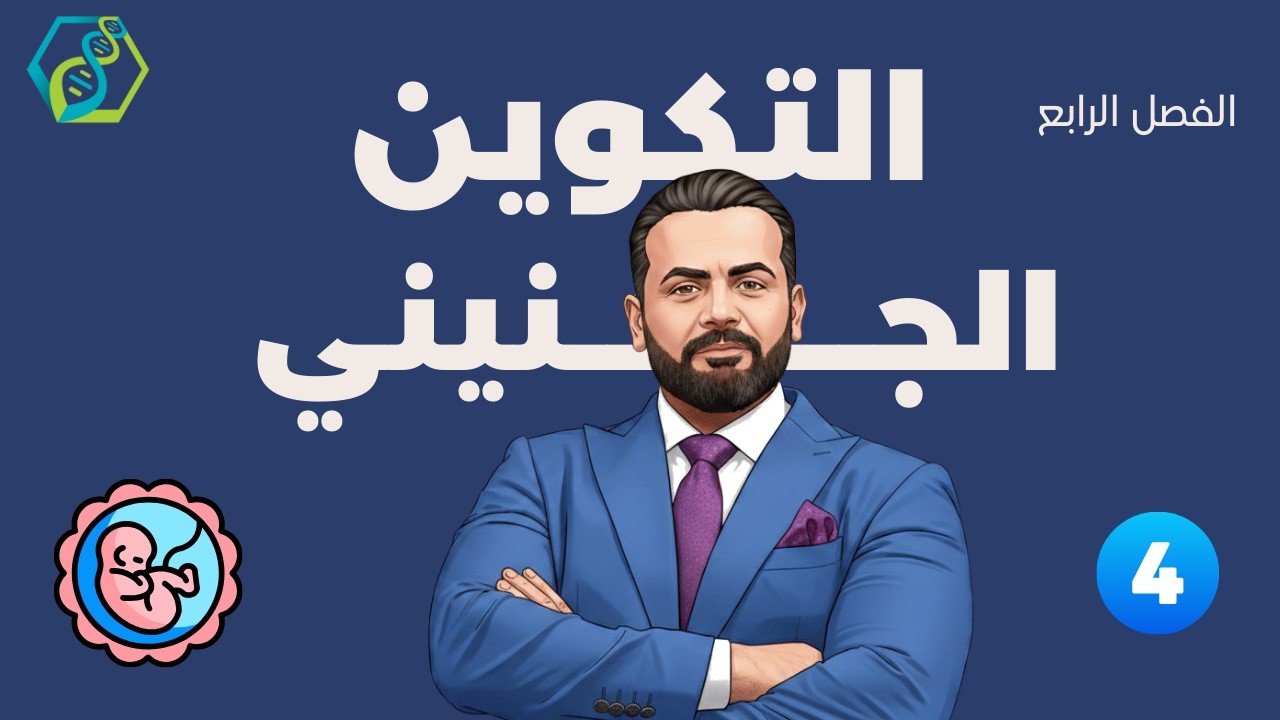 الفصل الرابع/ التكوين الجنيني / المحاضرة الرابعة (التشوهات الخلقية و التوائم )