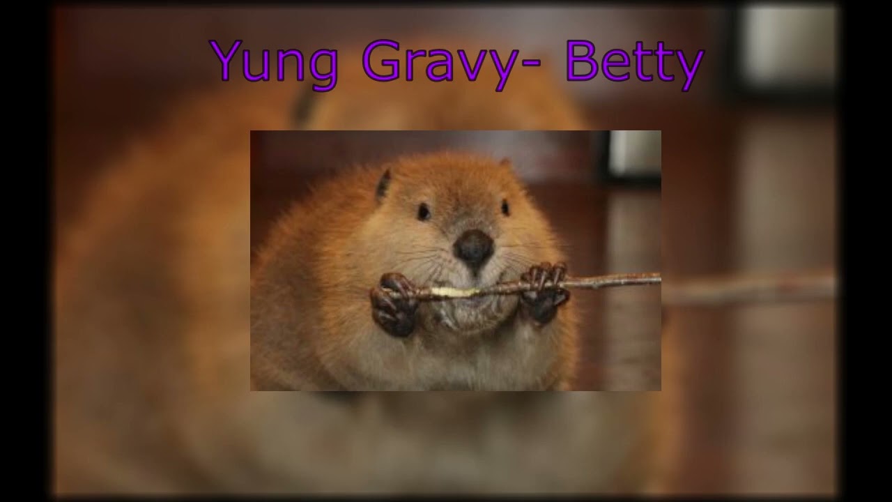 Yung Gravy - Betty (Get Money) Best Part (read desc)