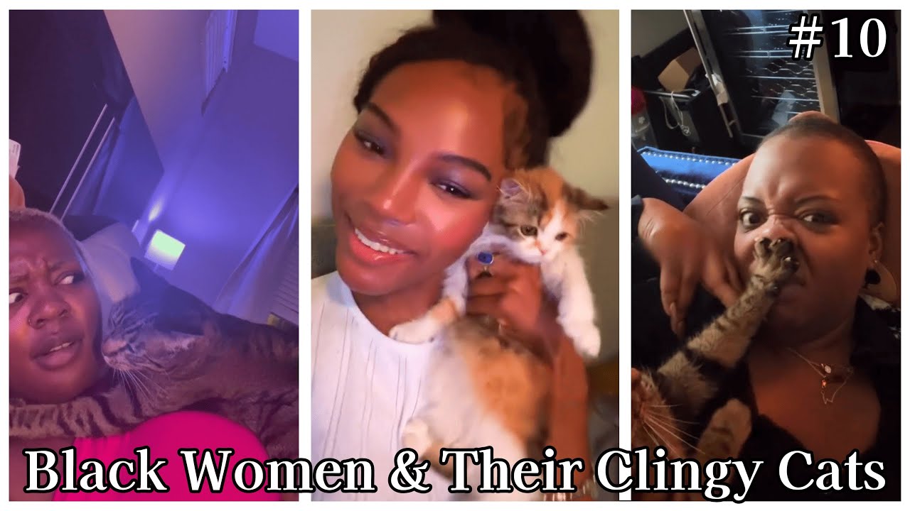Black Women & Their Clingy Cats #10 | LUCKY UPDATE 🐾 | Funny TikTok Compilation 2026