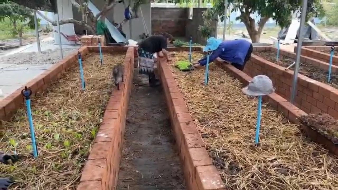 Living in Thailand - Built in living room, bedroom, building guest house