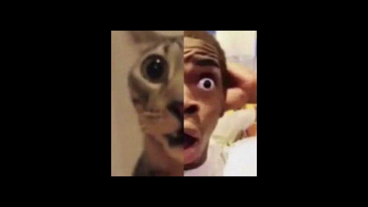 tiktok edit audios 🌻
