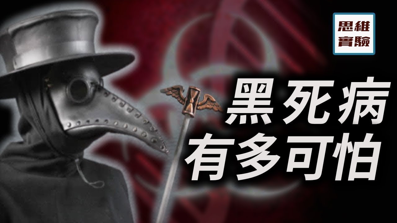 比新冠肺炎還要恐怖！歷史上傳染病有多可怕？了解下當年的疫情黑死病丨思維實驗室 25 黑死病