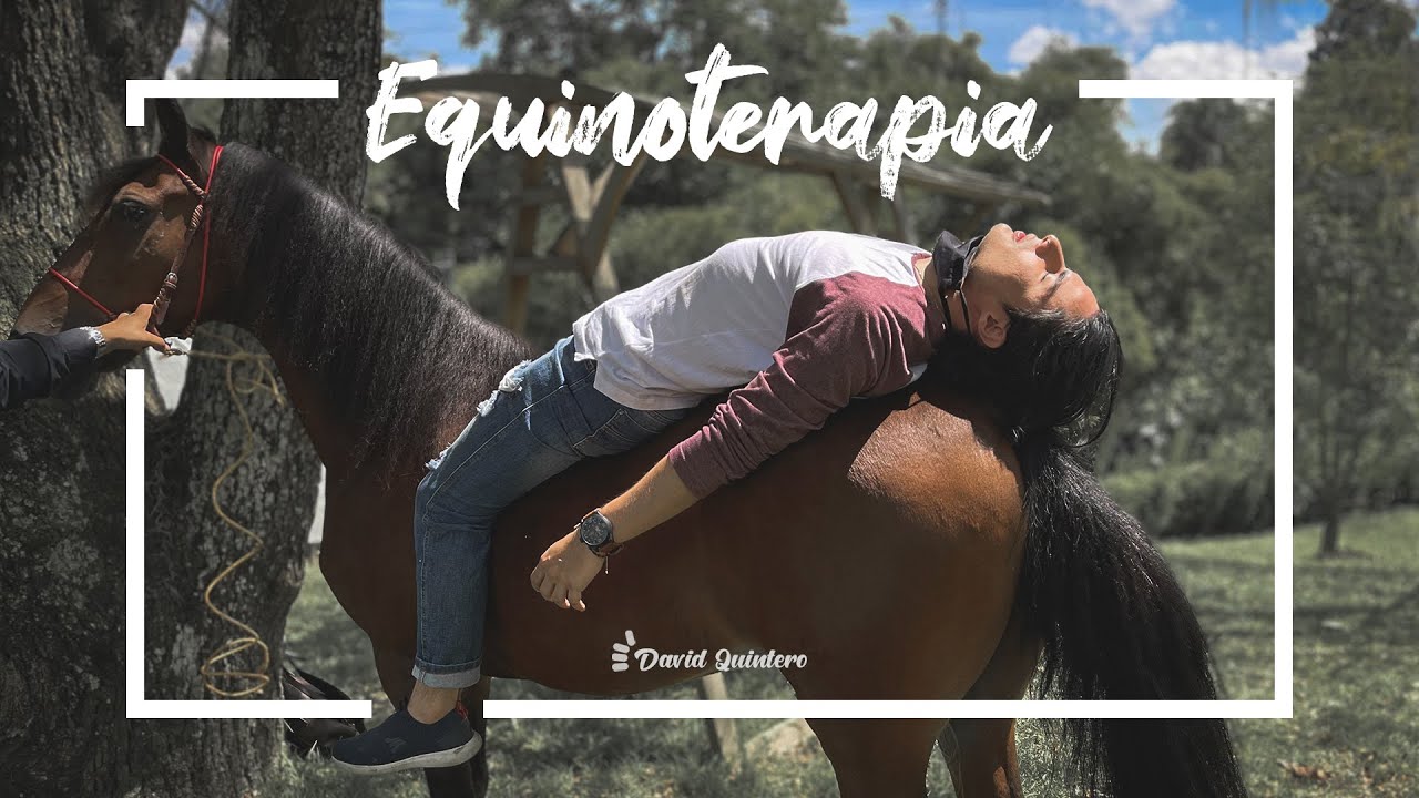 Equinoterapia, la INCREÍBLE CONEXIÓN entre caballos y humanos 🐴