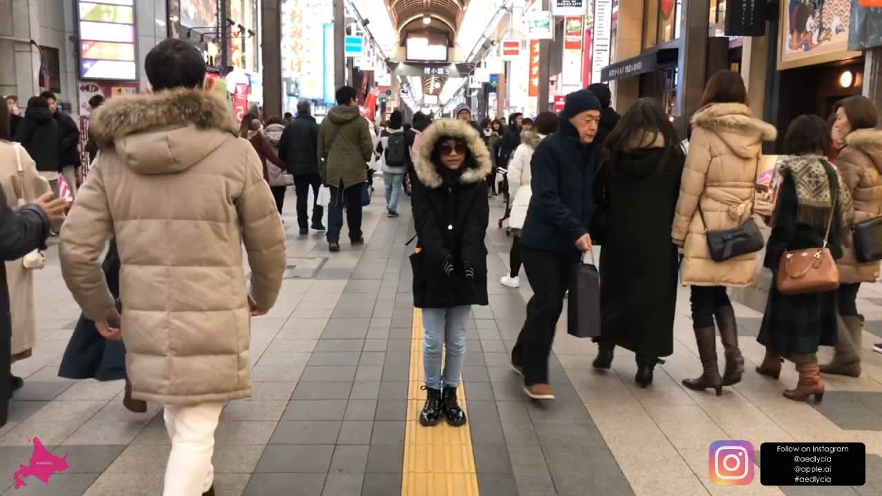 Tanukikoji - Susukino by Aedlycia ( Sapporo, Hokkaido, Japan )