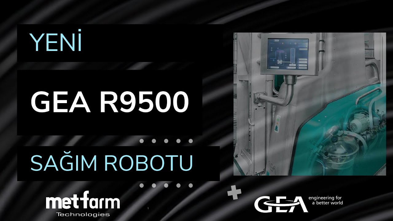 GEA'nın yeni Sağım Robotu R9500 ile s&uuml;t sağımda &uuml;st&uuml;n teknoloji sayesinde y&uuml;ksek verimle tanışın!