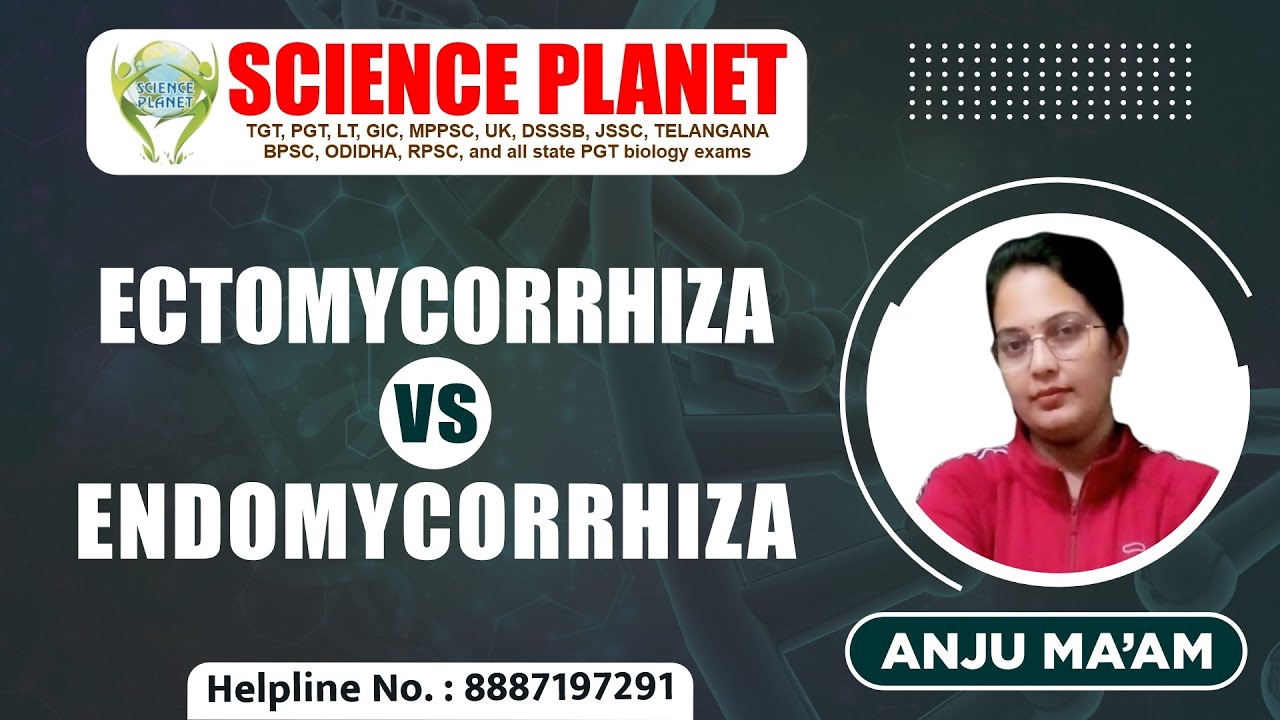 Ectomycorrhiza Vs Endomycorrhiza by Anju Mam on Science Planet!