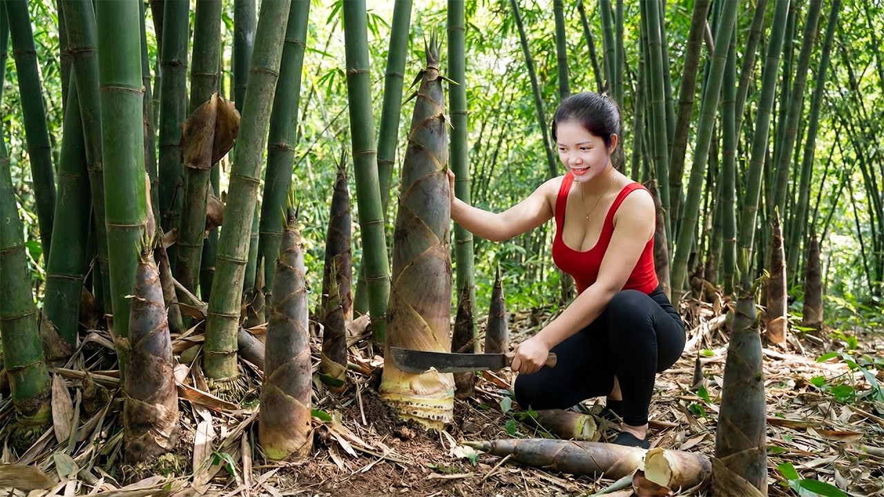 266 Days Harvesting 1000+Kg Many Bamboo Shoots In the Forest Goes To Market Sell