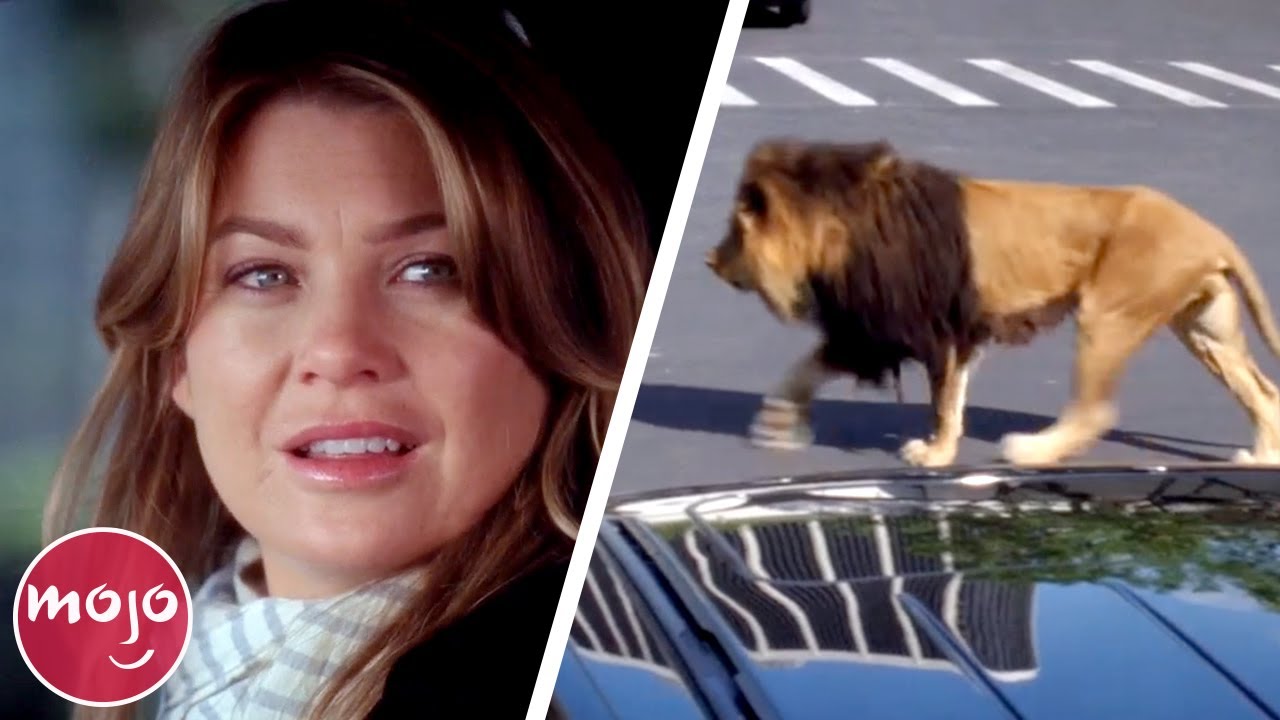 Top 20 Grey's Anatomy Plot Holes You Never Noticed