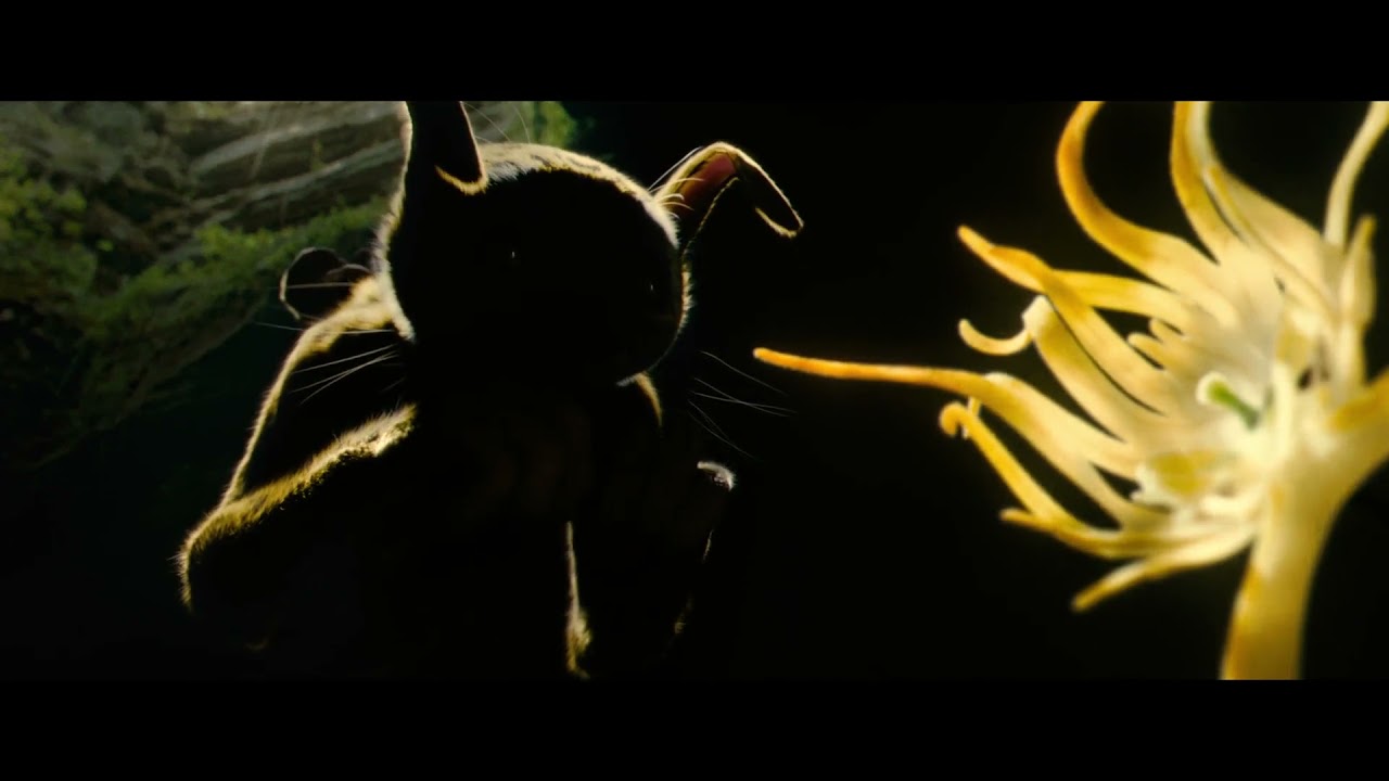 Gyros-stabilized head on helicopter - Sur la Piste du Marsupilami