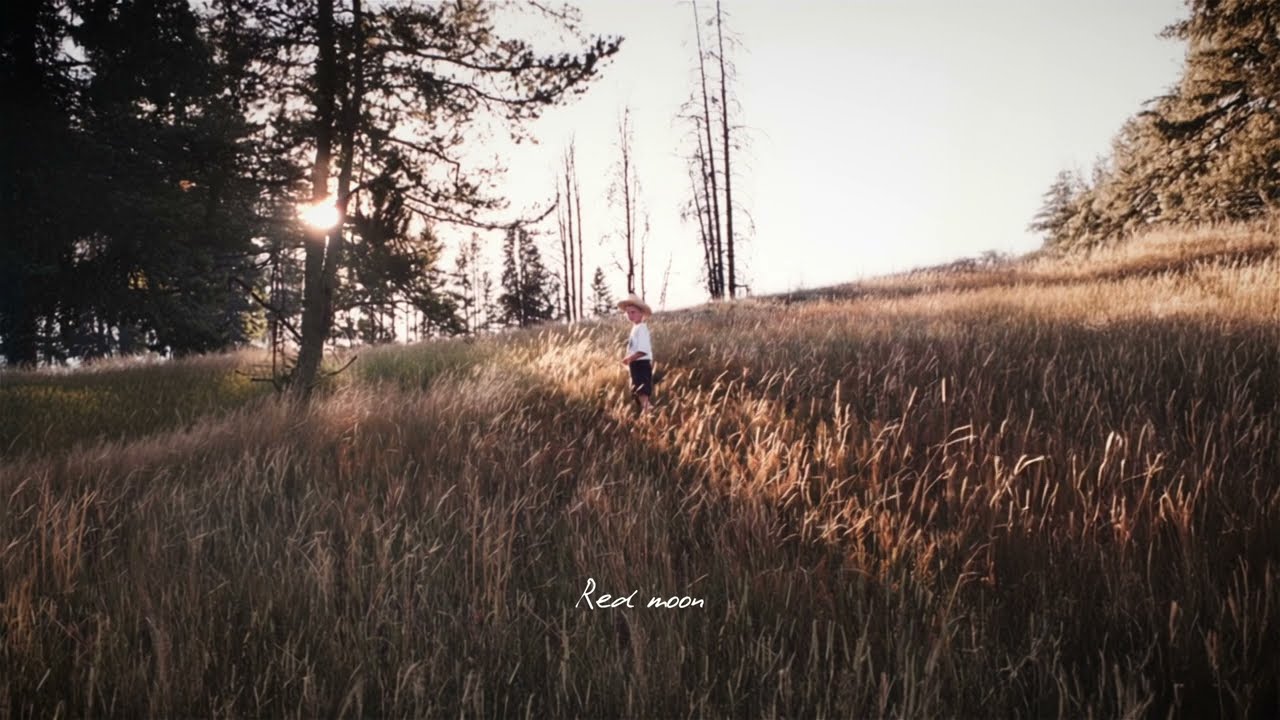 Tom Misch - Red Moon (Official Lyric Video)