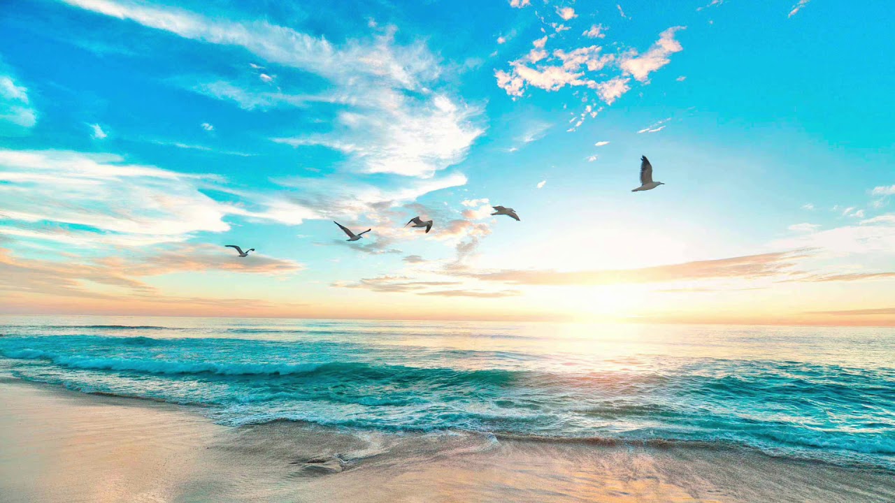 Meditación EMDR Binaural