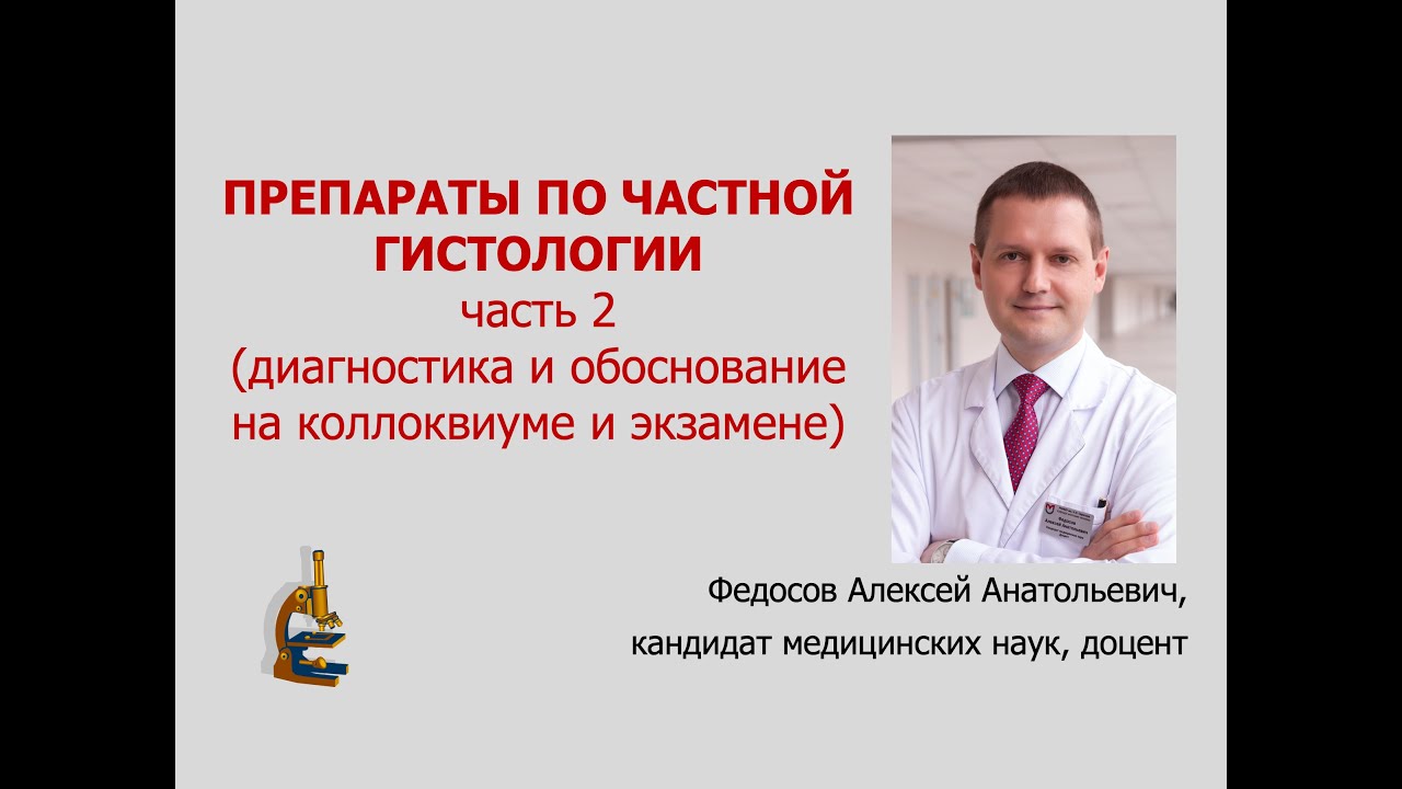 ПРЕПАРАТЫ ПО ЧАСТНОЙ ГИСТОЛОГИИ. Ч. 2 (диагностика и обоснование на коллоквиуме и экзамене)