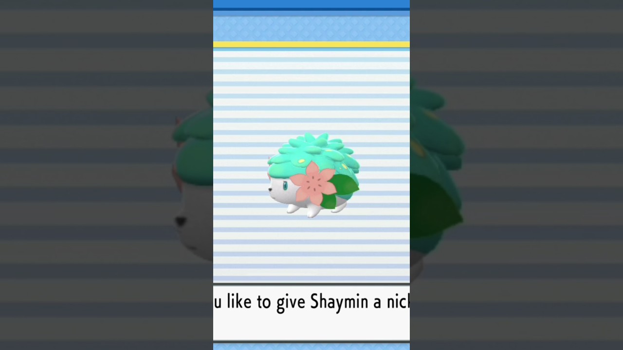 I was able to catch shiny shaymin in 2024