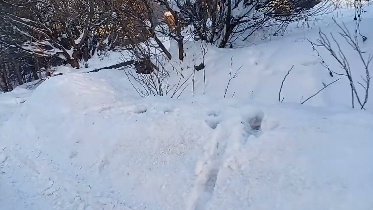 Белоостров в видео