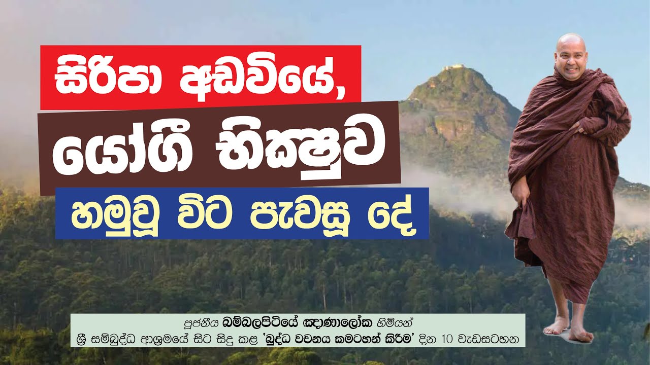 සිරිපා අඩවියේ, යෝගී භික්ෂුව හමුවූ විට පැවසූ දේ - Ven. Bambalapitiye Gñanaloka Thero