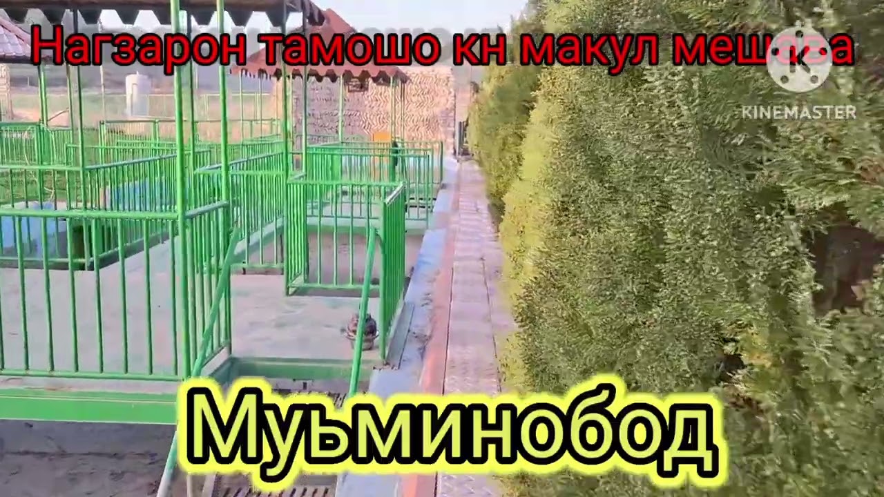 Муьминобод дехаи Кулчашма чои Истирохати