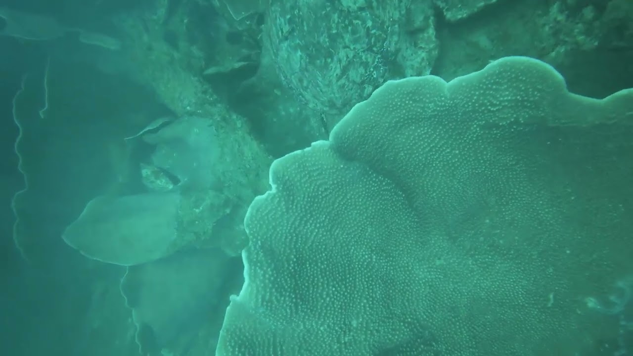 2nd Dive in El Nido - 28 Dec 2025