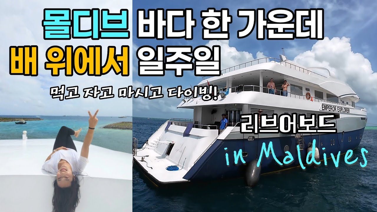 🇲🇻세계 다이버들의 로망, 몰디브 리브어보드 | 인생 최고의 경험 | 몰디브[2]