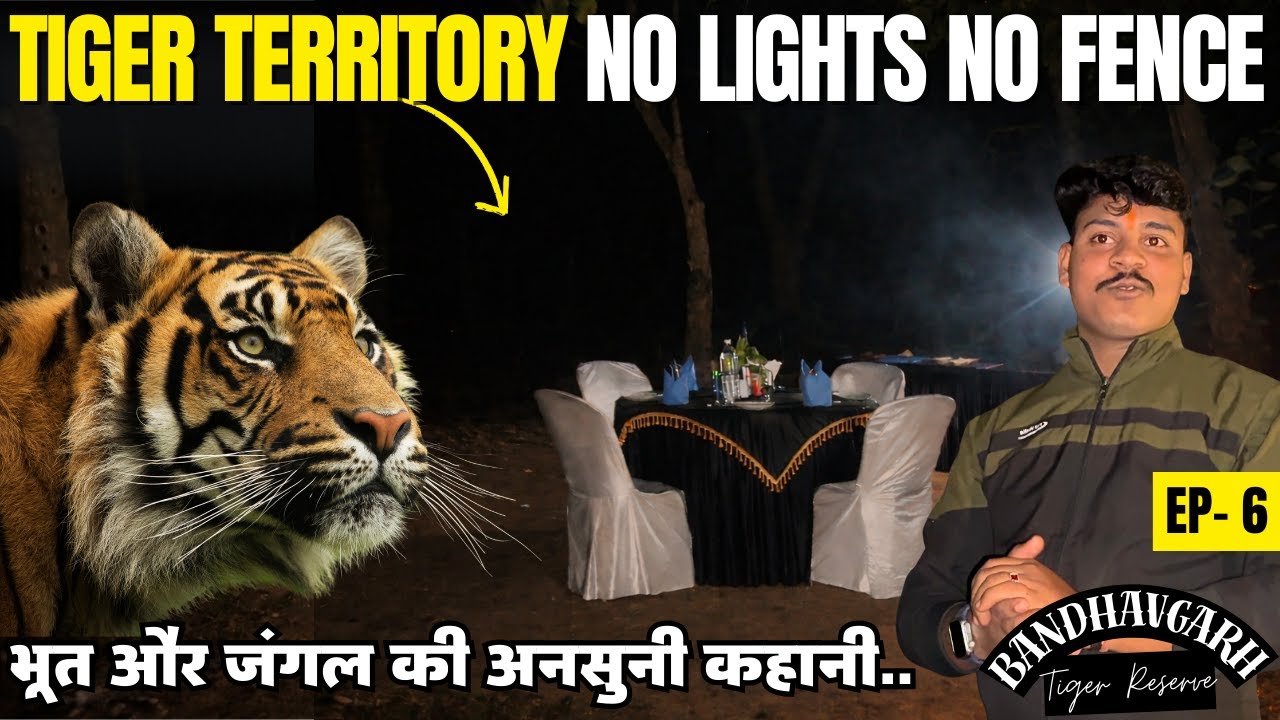 Dinner in Tiger Territory 🐅 No Lights No Fence 😱 - Tiger Attack Bandhavgarh Tiger Reserve Stories