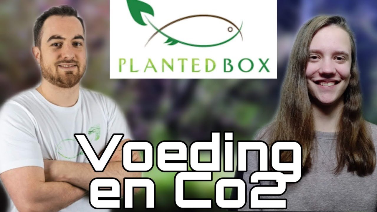 FishFriends For Food - Plantenvoeding en Co2 Met Gilles van PlantedBox! //Nickey//